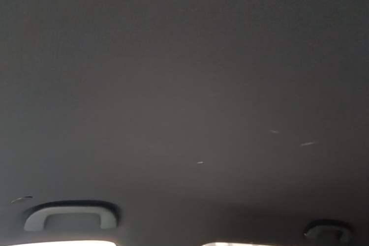 Used BYD Dolphin 2023 420 km Free Version Headliner