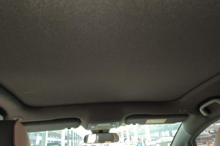 Used BYD Dolphin 2023 420 km Fashion Edition Headliner