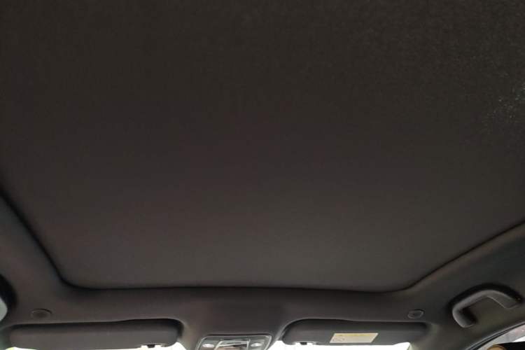 Used BYD Dolphin 2023 420 km Fashion Edition Headliner