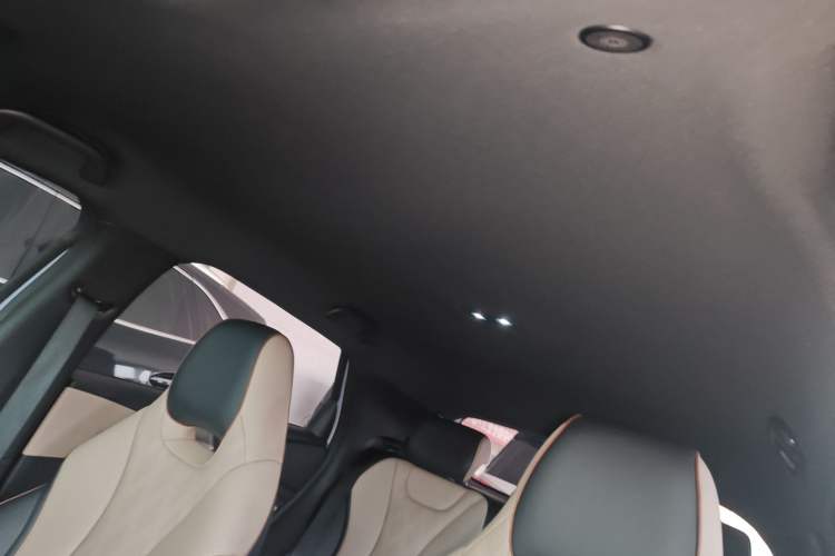 Used BYD Dolphin 2023 420 km Free Version Headliner