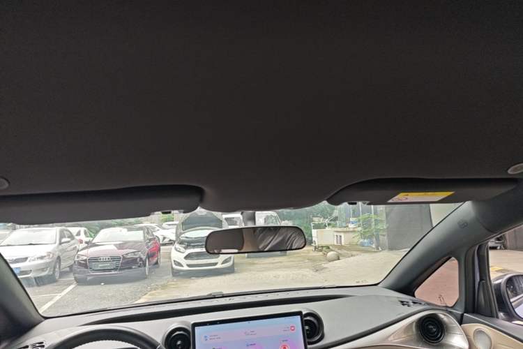 Used BYD Dolphin 2023 420 km Free Version Headliner