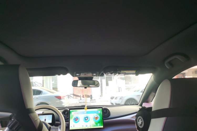Used BYD Dolphin 2023 420 km Fashion Edition Headliner