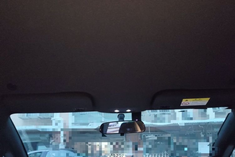 Used BYD Dolphin 2023 420 km Free Version Headliner
