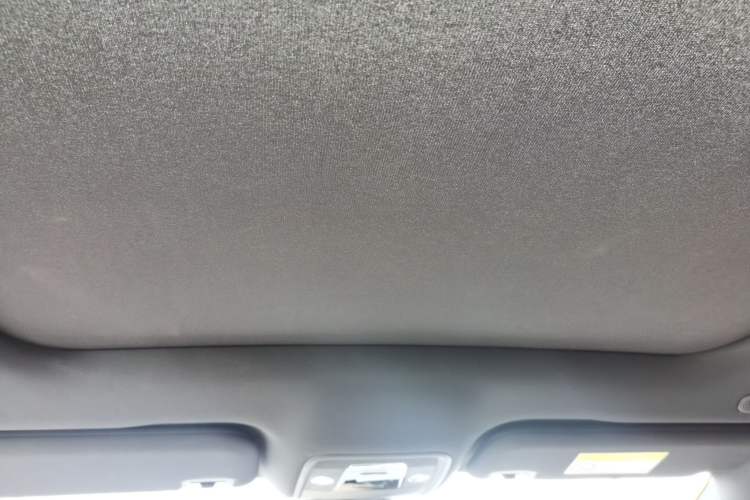 Used BYD Dolphin 2023 420 km Free Version Headliner
