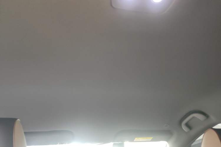 Used BYD Dolphin 2023 420 km Free Version Headliner