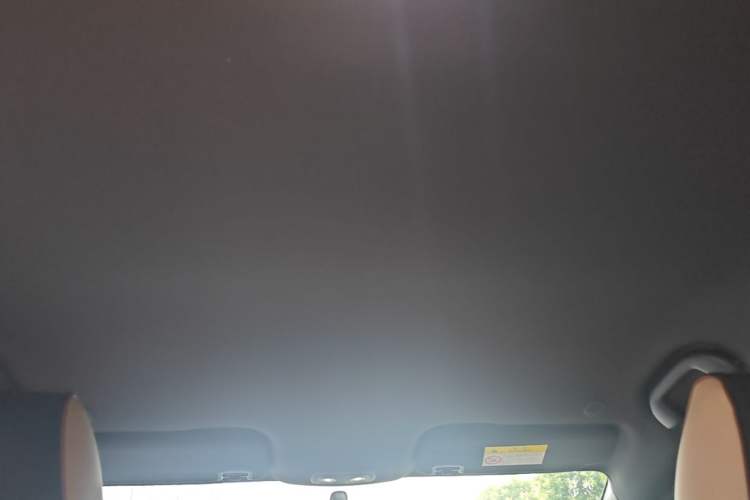 Used BYD Dolphin 2023 420 km Free Version Headliner