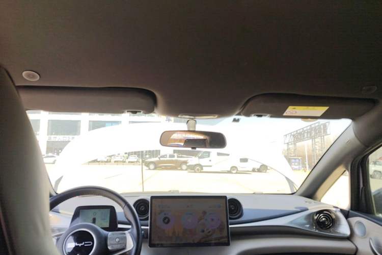 Used BYD Dolphin 2023 420 km Free Version Headliner