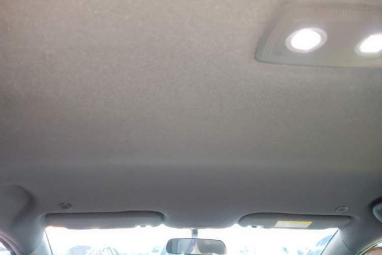 Used BYD Dolphin 2023 420 km Free Version Headliner