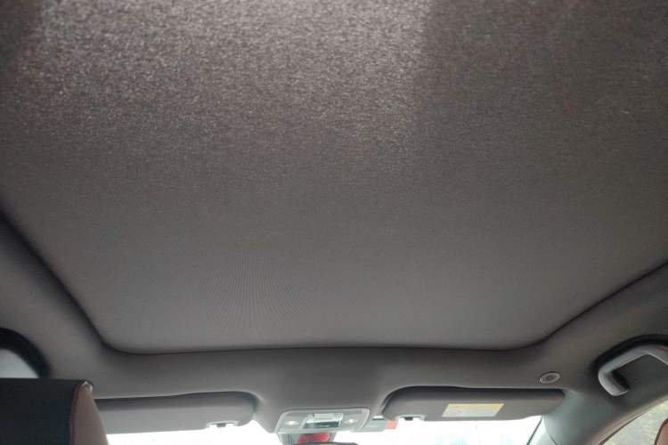 Used BYD Dolphin 2023 420 km Fashion Edition Headliner