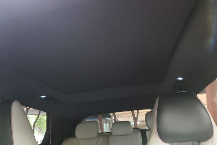 Used BYD Dolphin 2023 420 km Fashion Edition Headliner