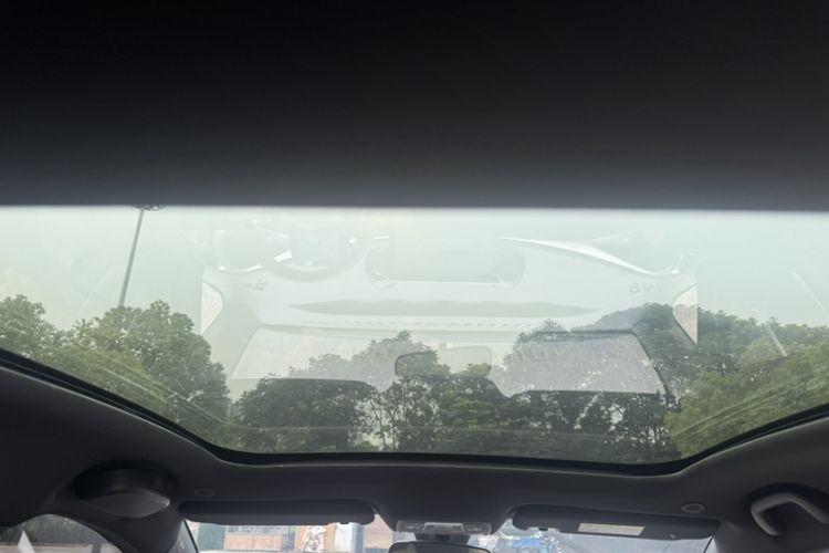Used BYD Dolphin 2023 420 km Fashion Edition Headliner