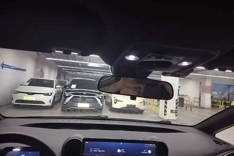 Used BYD Dolphin 2023 420 km Fashion Edition Headliner