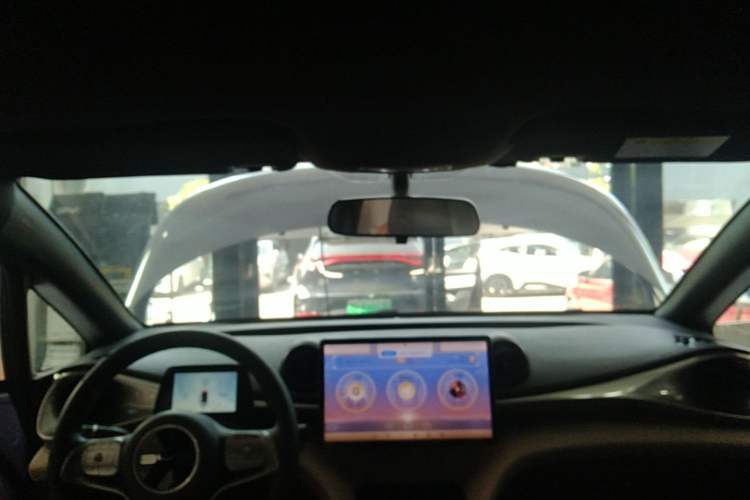 Used BYD Dolphin 2023 420 km Free Version Headliner