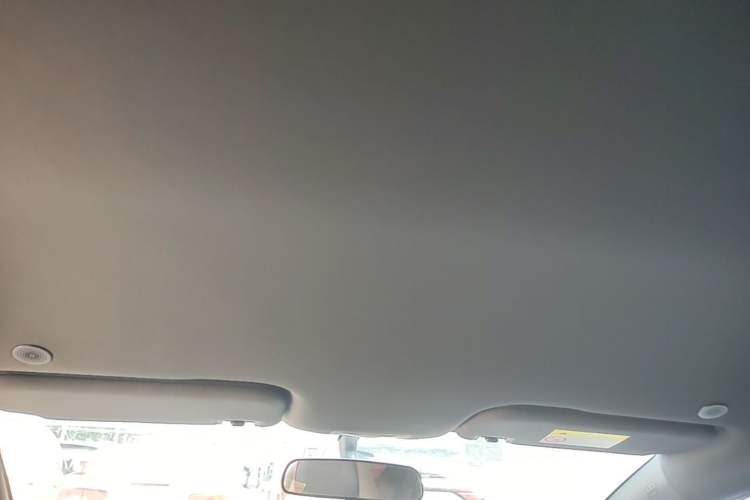 Used BYD Dolphin 2023 420 km Free Version Headliner
