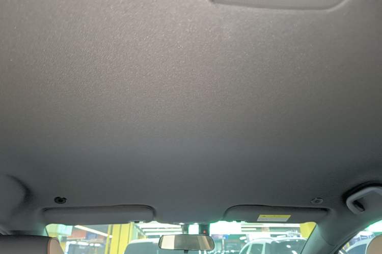 Used BYD Dolphin 2023 420 km Free Version Headliner