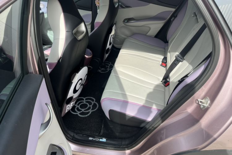 Used BYD Dolphin 2023 420 km Fashion Edition Interior 1
