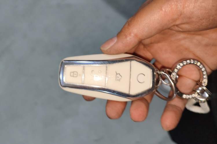 Used BYD Dolphin 2023 420 km Free Version Interior 1