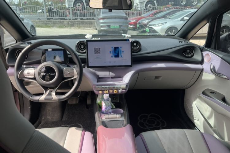 Used BYD Dolphin 2023 420 km Fashion Edition Interior 3