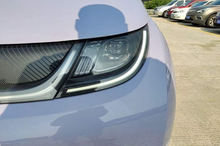 Used BYD Dolphin 2023 420 km Free Version Left Front Headlight