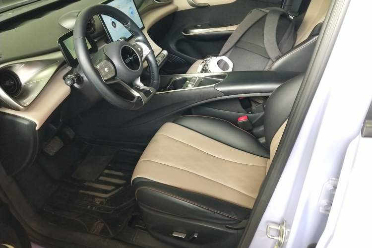 Used BYD Dolphin 2023 420 km Free Version Left Front Seat