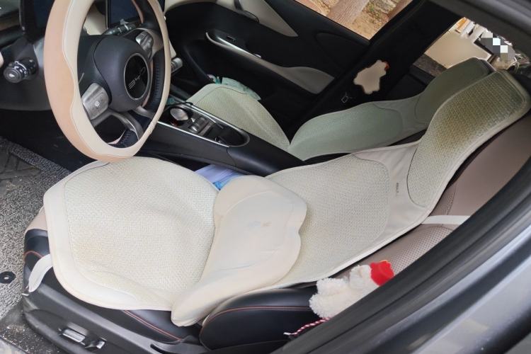 Used BYD Dolphin 2023 420 km Fashion Edition Left Front Seat