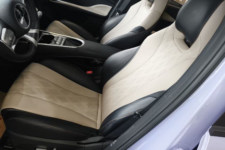 Used BYD Dolphin 2023 420 km Fashion Edition Left Front Seat