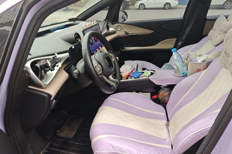 Used BYD Dolphin 2023 420 km Fashion Edition Left Front Seat