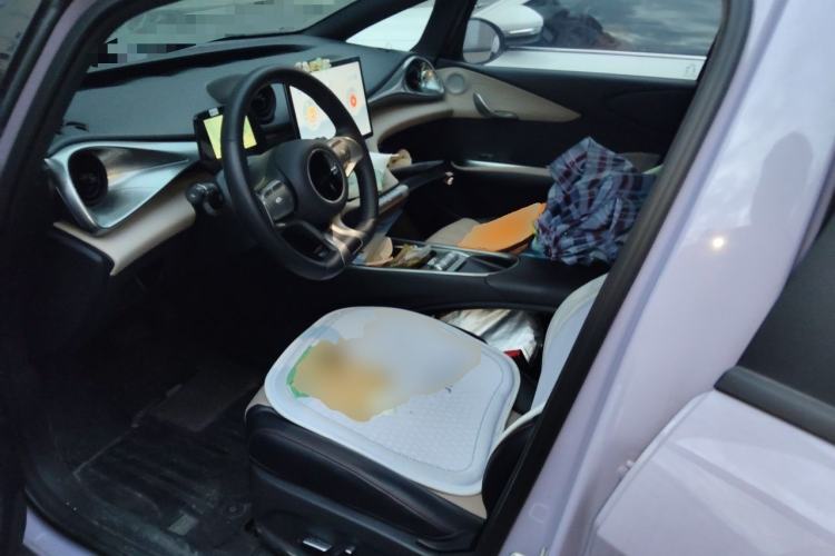 Used BYD Dolphin 2023 420 km Free Version Left Front Seat