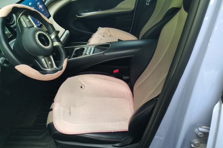 Used BYD Dolphin 2023 420 km Fashion Edition Left Front Seat