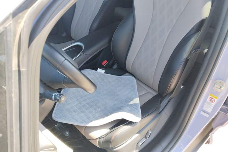 Used BYD Dolphin 2023 420 km Free Version Left Front Seat