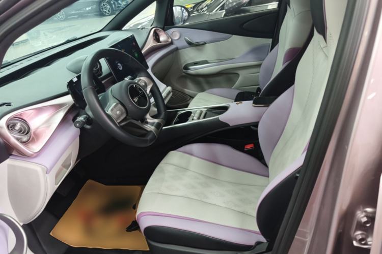 Used BYD Dolphin 2023 420 km Free Version Left Front Seat