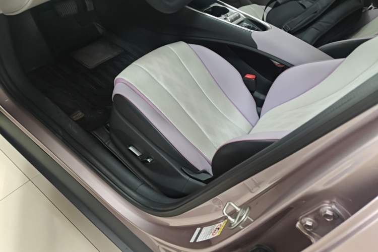 Used BYD Dolphin 2023 420 km Fashion Edition Left Front Seat