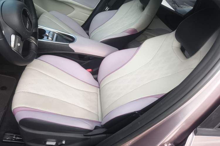Used BYD Dolphin 2023 420 km Fashion Edition Left Front Seat