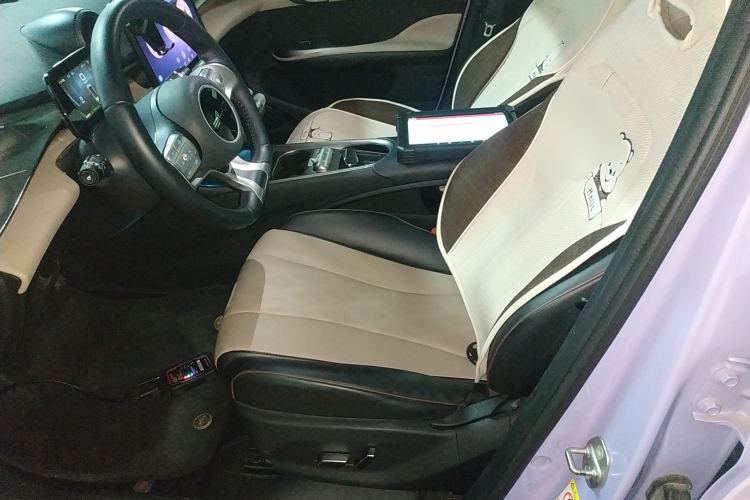 Used BYD Dolphin 2023 420 km Fashion Edition Left Front Seat