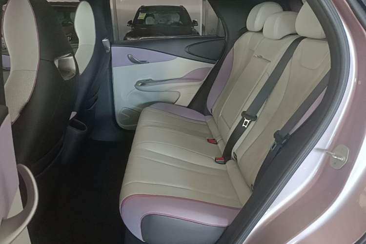 Used BYD Dolphin 2023 420 km Fashion Edition Left Rear Seat