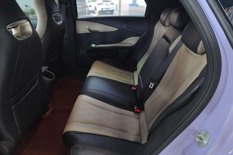 Used BYD Dolphin 2023 420 km Fashion Edition Left Rear Seat