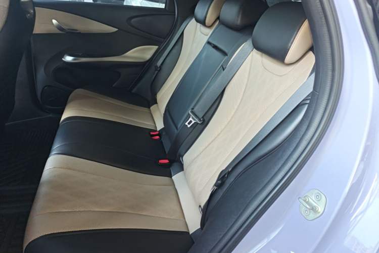 Used BYD Dolphin 2023 420 km Fashion Edition Left Rear Seat