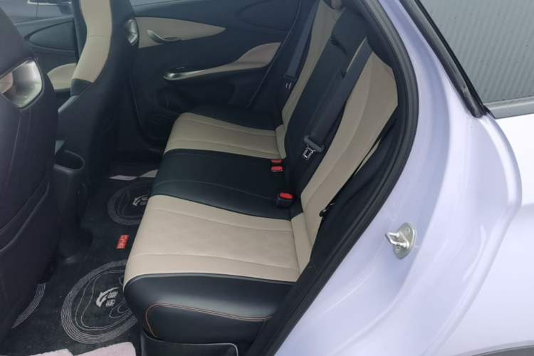 Used BYD Dolphin 2023 420 km Fashion Edition Left Rear Seat