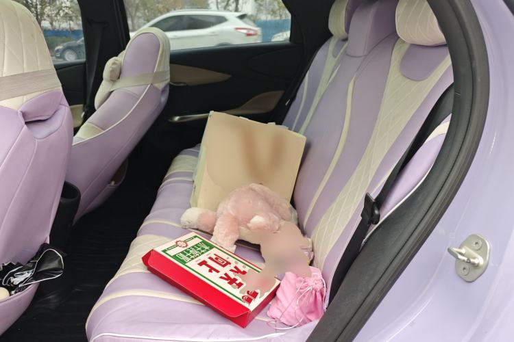 Used BYD Dolphin 2023 420 km Fashion Edition Left Rear Seat