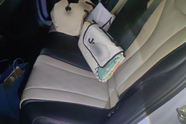Used BYD Dolphin 2023 420 km Fashion Edition Left Rear Seat
