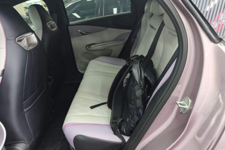Used BYD Dolphin 2023 420 km Free Version Left Rear Seat