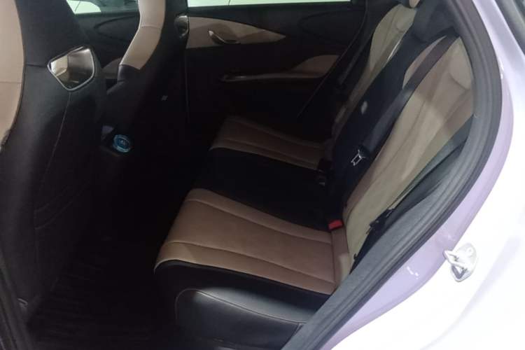 Used BYD Dolphin 2023 420 km Free Version Left Rear Seat