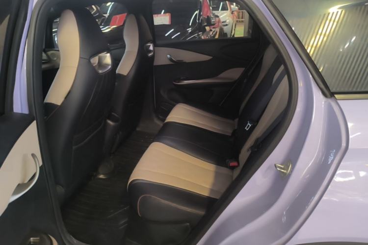 Used BYD Dolphin 2023 420 km Free Version Left Rear Seat