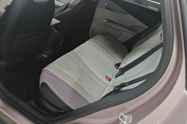 Used BYD Dolphin 2023 420 km Fashion Edition Left Rear Seat