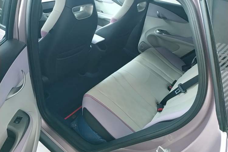 Used BYD Dolphin 2023 420 km Fashion Edition Left Rear Seat