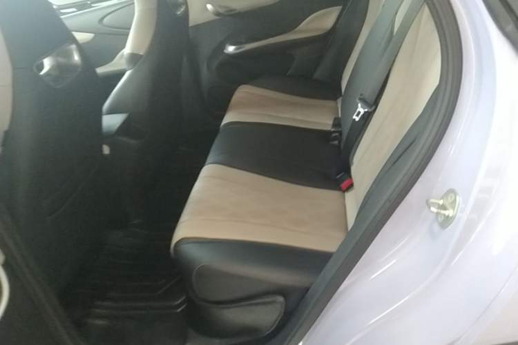 Used BYD Dolphin 2023 420 km Free Version Left Rear Seat