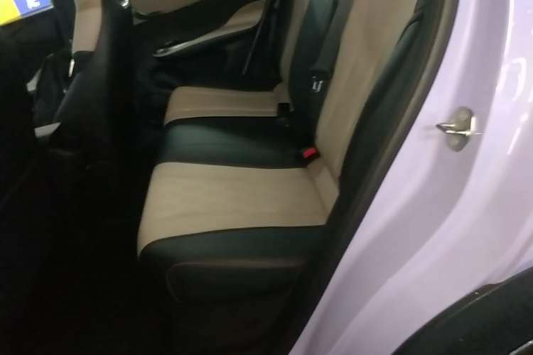 Used BYD Dolphin 2023 420 km Free Version Left Rear Seat