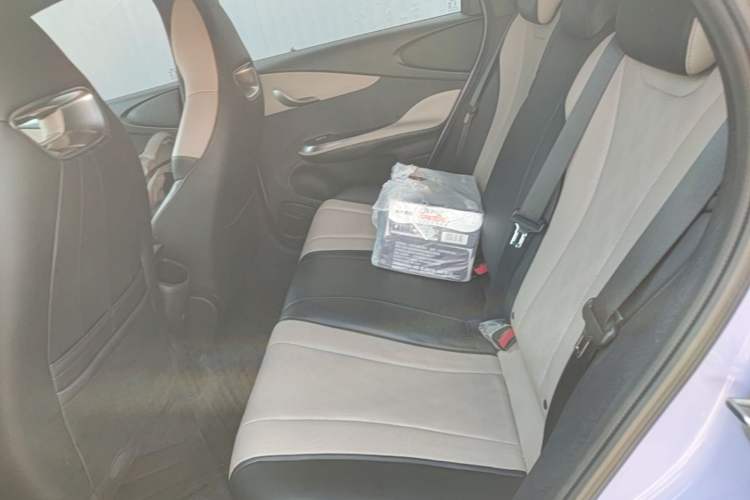 Used BYD Dolphin 2023 420 km Free Version Left Rear Seat