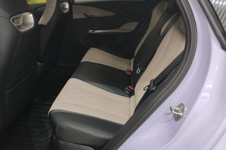 Used BYD Dolphin 2023 420 km Free Version Left Rear Seat