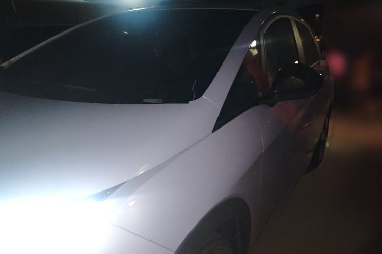 Used BYD Dolphin 2023 420 km Free Version Guazi used car, China used car export, Used car for sale, Used  cars, Cheapest cars for sale